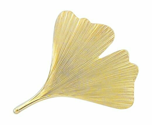 585 Gold Ginkgoblatt Brosche 36x32mm