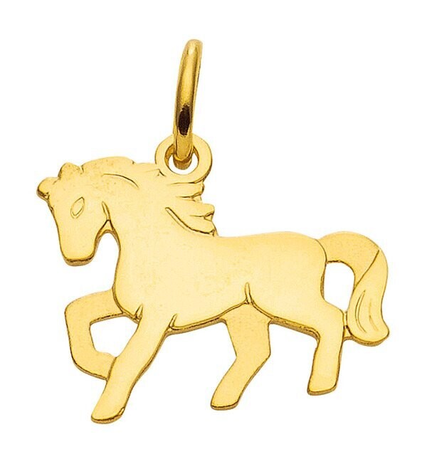 Pferd Ketten Anhänger aus 333 Gold