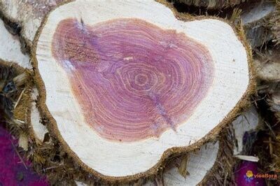 Bois de rose - he
