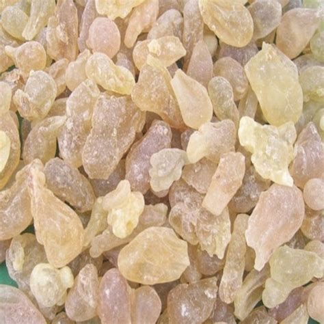 Encens/Oliban Serrata - he