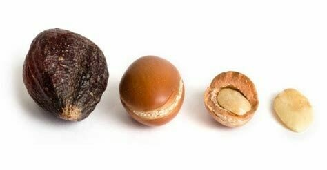 Argan - hv