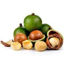 Macadamia - hv