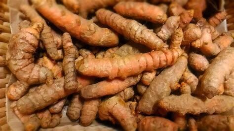 Curcuma - he - 30/50ml