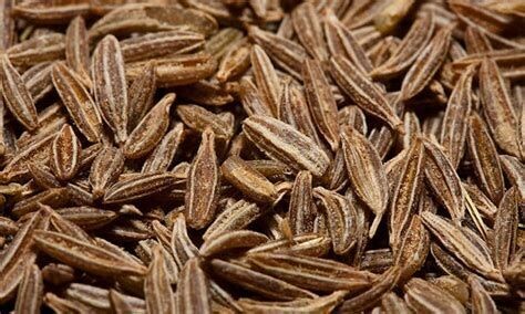 Cumin - he - 30/50ml