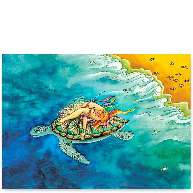 Turtle, Poster A3​