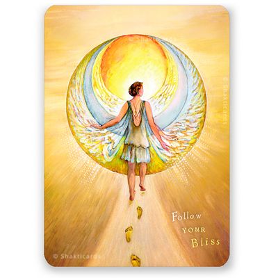 Follow Your Bliss