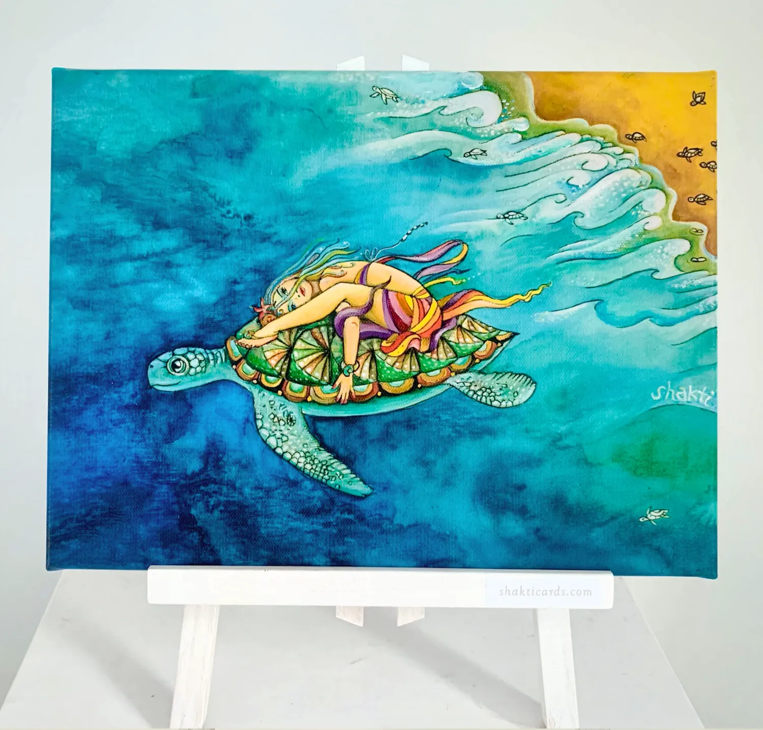 Turtle / 28 x 21 cm Turtle / 28 x 21 cm