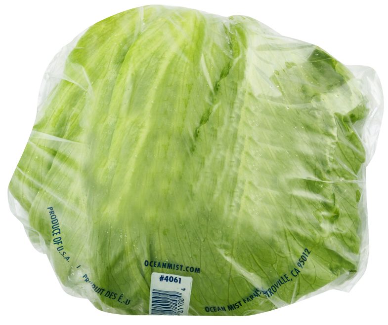 Fresh Iceberg Lettuce