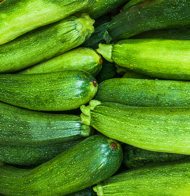 Fresh Zucchini loose per lb
