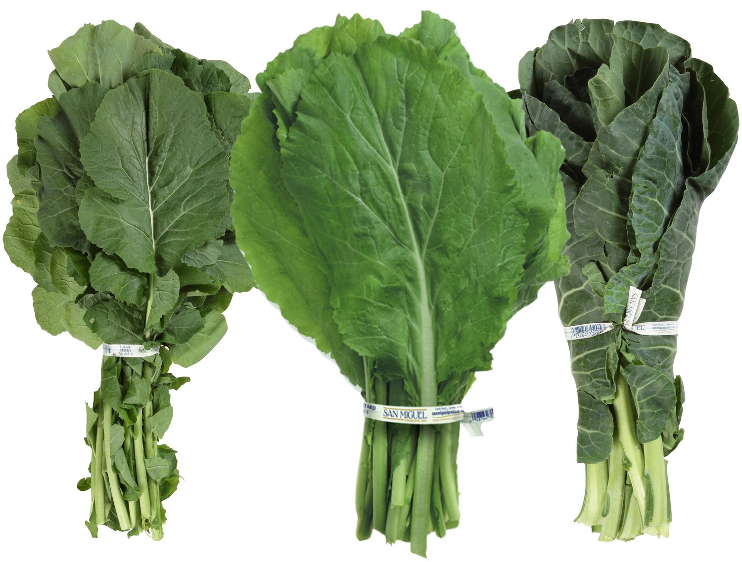 Fresh Greens, Mustard Turnip Collard, bunch