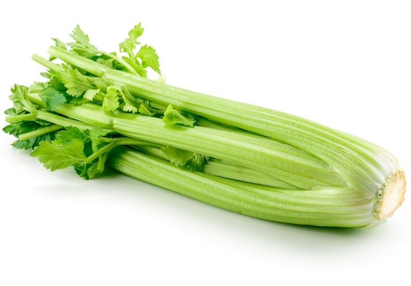 Fresh Celery, stalk