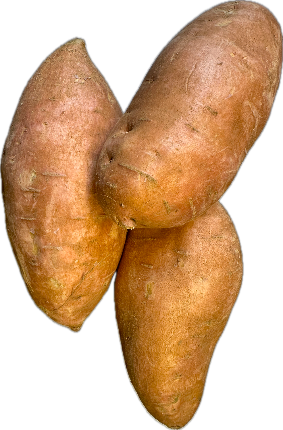 Fresh Vardaman Sweet Potatoes