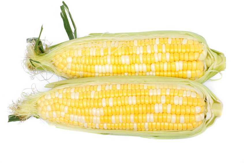 Fresh Bi-Color Sweet Corn