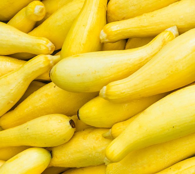 Fresh Yellow Squash loose per lb
