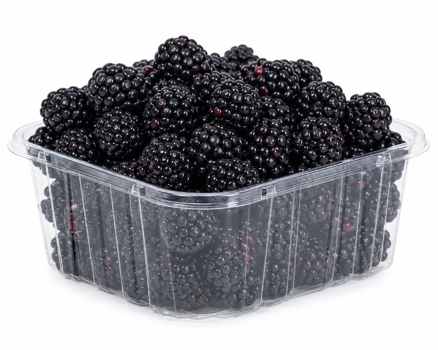 Fresh Blackberries, 6oz container
