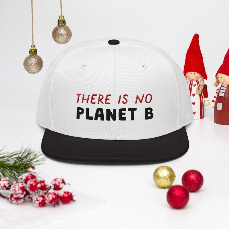 Snapback Hat