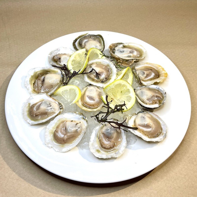 Ostras de nuestra piscina