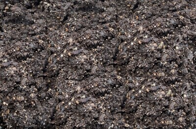 Aged Compost