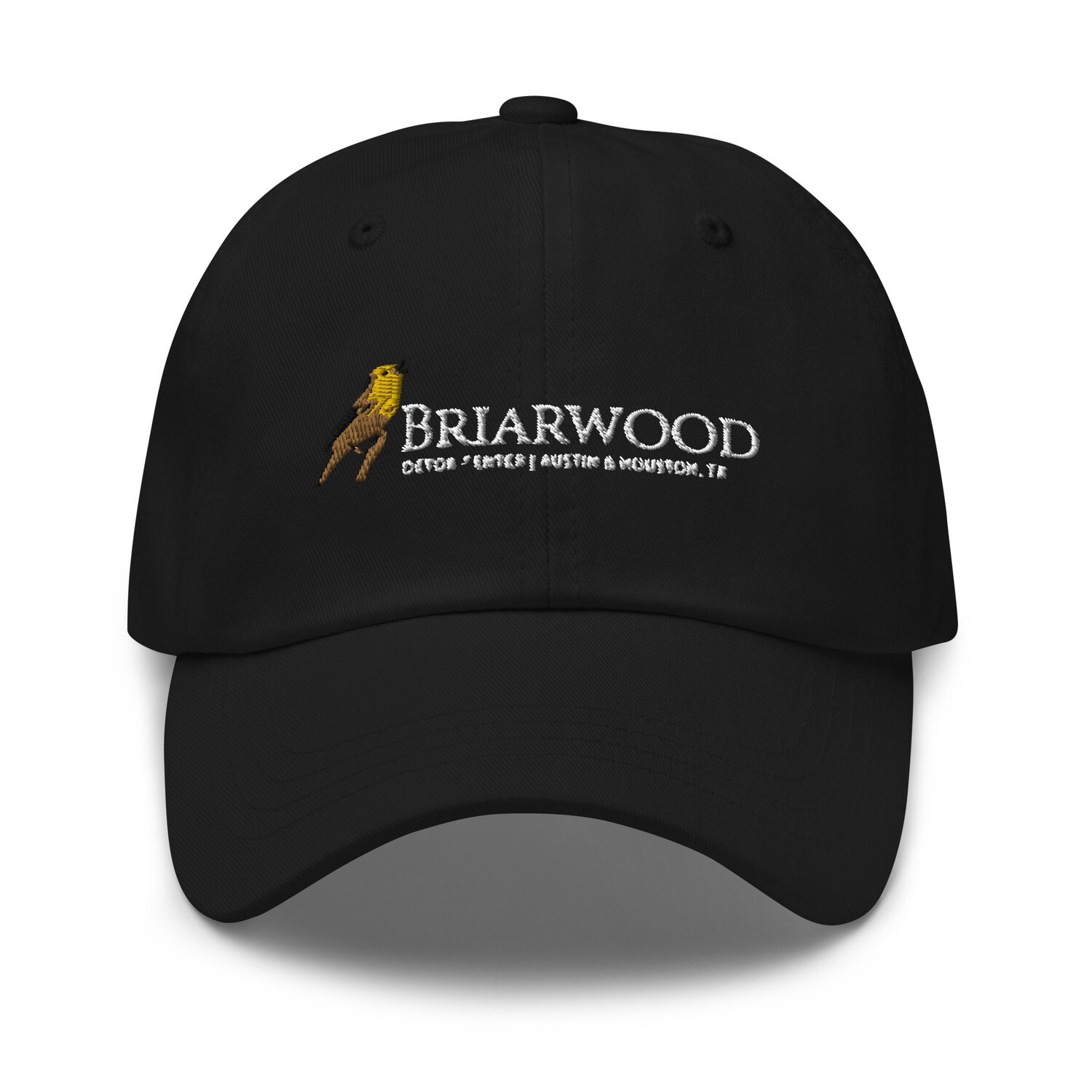 BWD Dad hat | White Logo, Color: Black