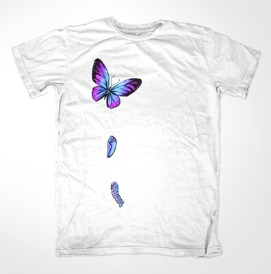 farfalla (eugenia sampieri)
