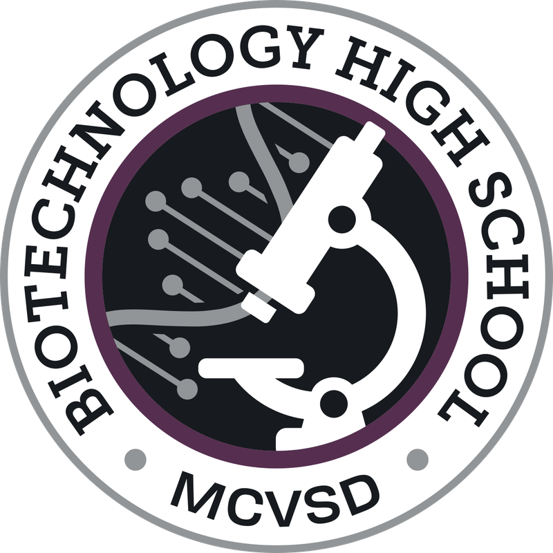 Car Magnet - New Design!