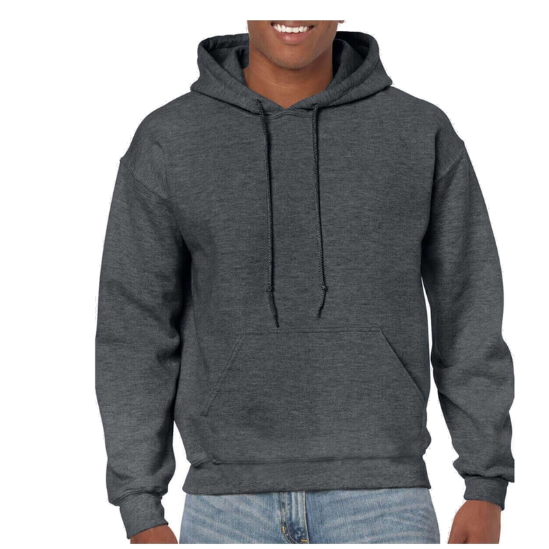 Hoodie Sweatshirt with New Logo (Back)