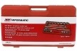 Juego de dados de 3/4" 21 piezas