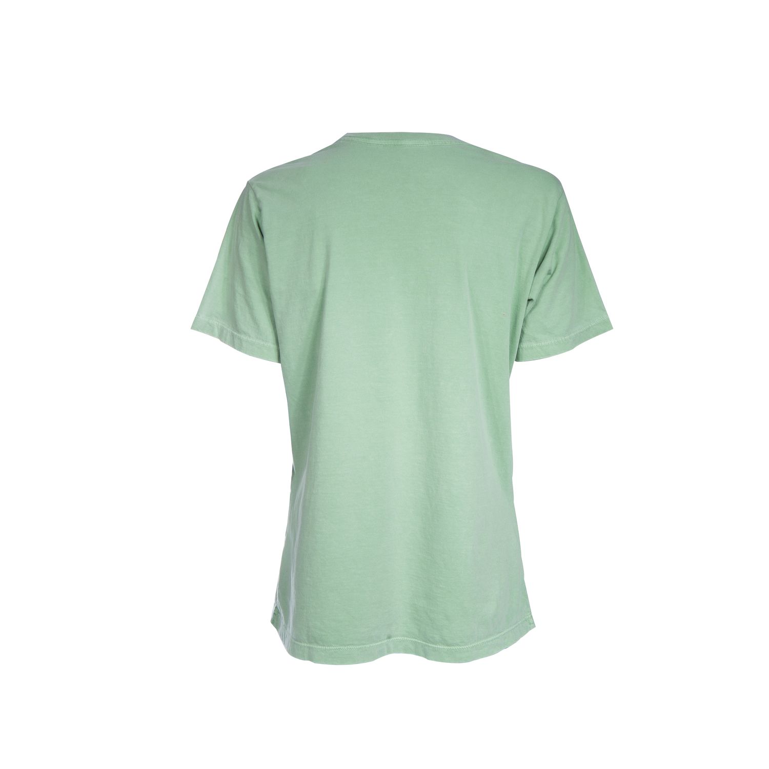 Remera femenina verde claro - Talle G