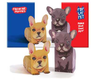 Rosie Flo Pop Up Pet Frenchie Puppies