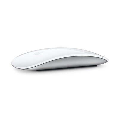 Apple Magic Mouse - Multi-Touch Surface