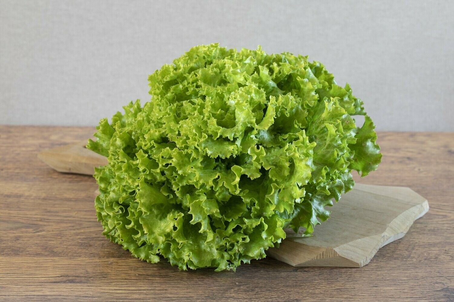 Lattuga gentilina | 400 gr