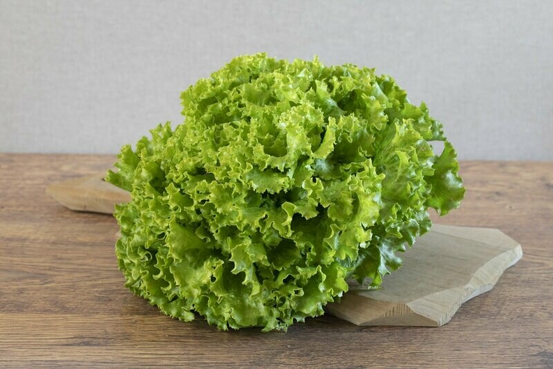 Lattuga gentilina | 400 gr