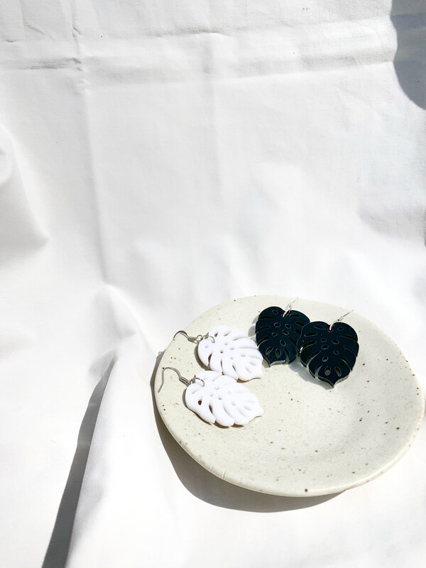 Monstera (small size)