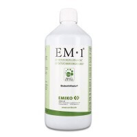 EM 1