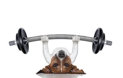 Vitalität & Fitness