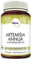 Mycovital Artemsia Annua Einjähriger Beifuß Bio Pulver Kapseln