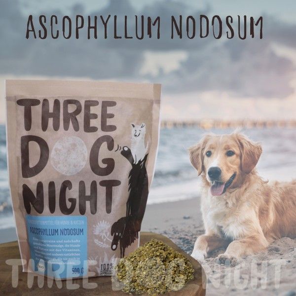 DHN®BIO Ascophyllum Nodosum (Seealgenmehl) DHN®BIO Ascophyllum Nodosum (Seealgenmehl)