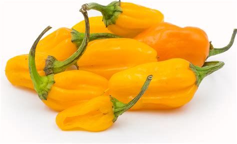 Datil Peppers