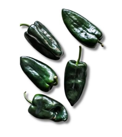 Poblano Peppers