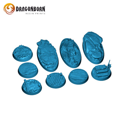 The Paladins of the Silver Lion Wargaming Scale Base Set