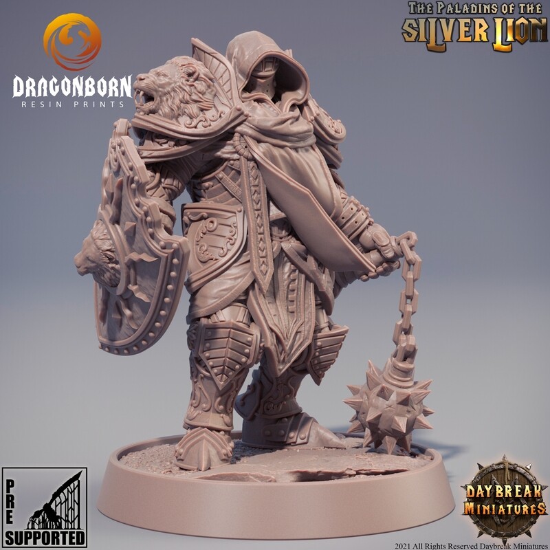 Mattias du Lion Tuant - Paladins Warriors DnD RPG Wargaming Miniatures