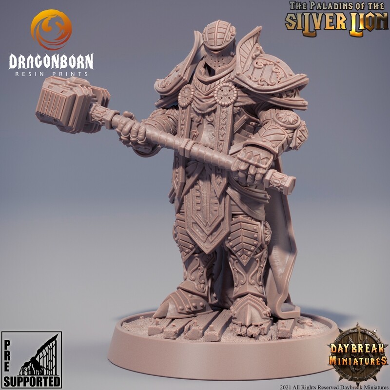 Chlodvig du Marteau Lourd - Paladins Warriors DnD RPG Wargaming Miniatures