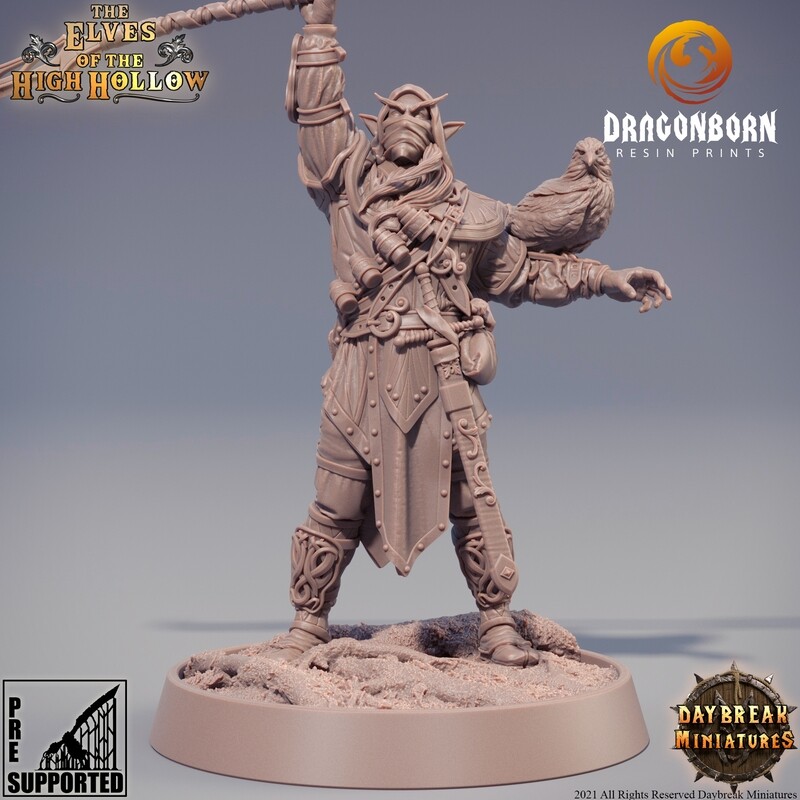 Arren Klooser - Elves Elf DnD RPG Wargaming Miniatures