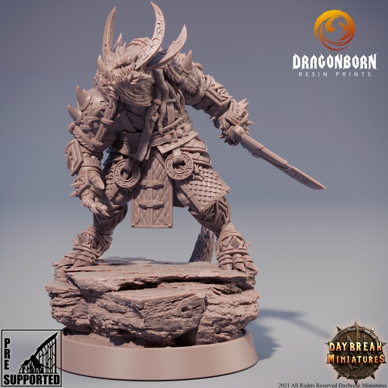 Kiarnak Stonecold - Dragonborn DnD RPG Wargaming Miniatures