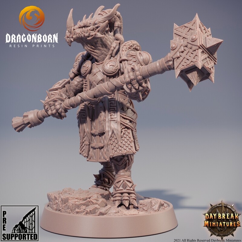 Goshenite Neverguesser - Dragonborn DnD RPG Wargaming Miniatures