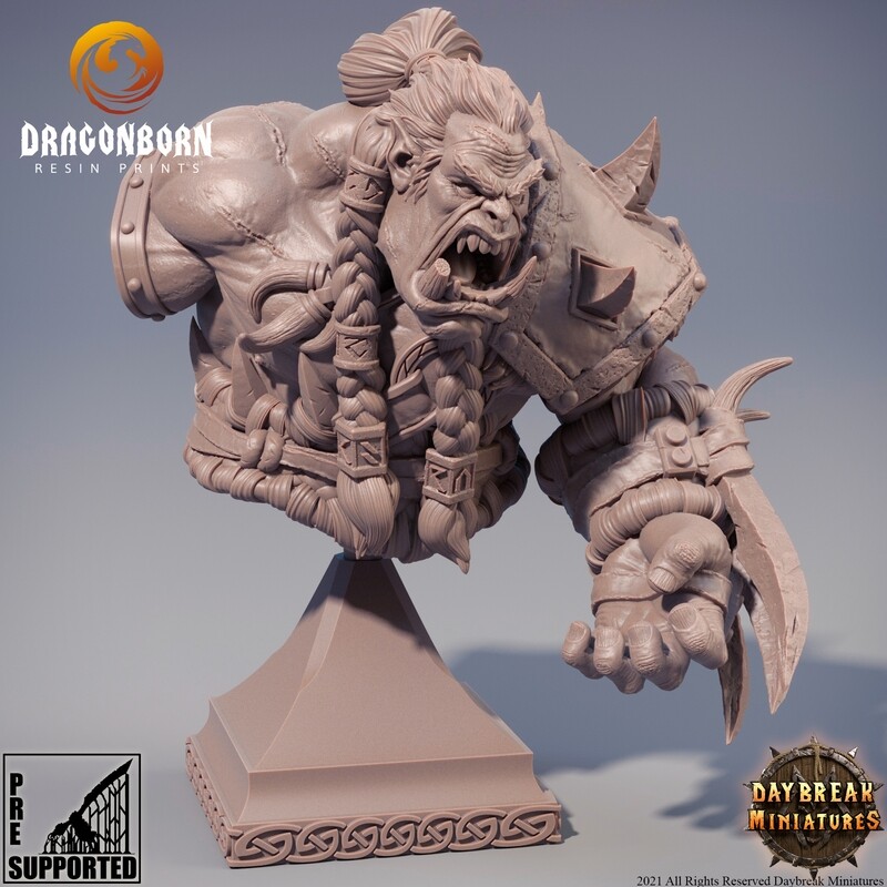 Zweitung Blutnagel - Orc Bust