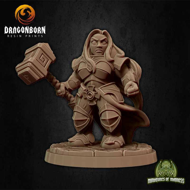 Malyan The Proud - Dwarf DnD RPG Wargaming Miniatures