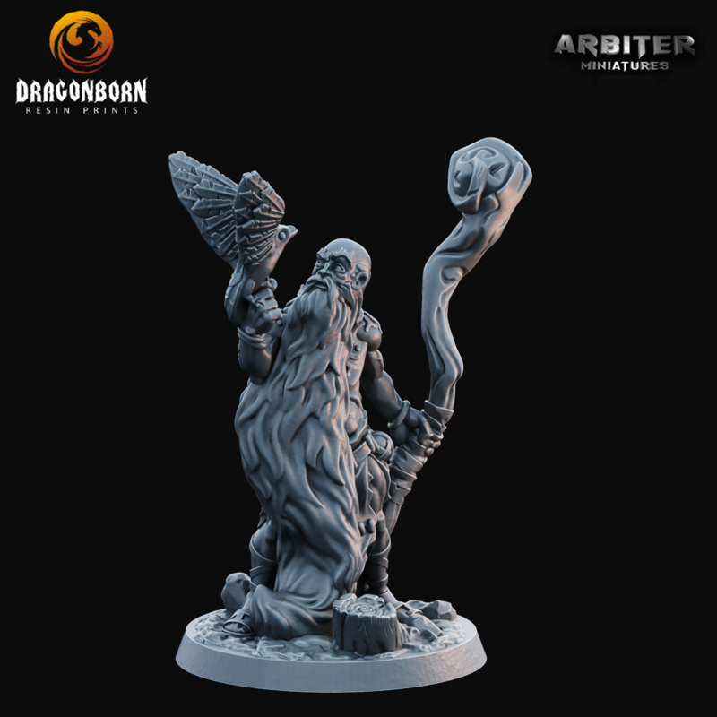 Druid Male 1 - DnD RPG Wargaming Miniatures 