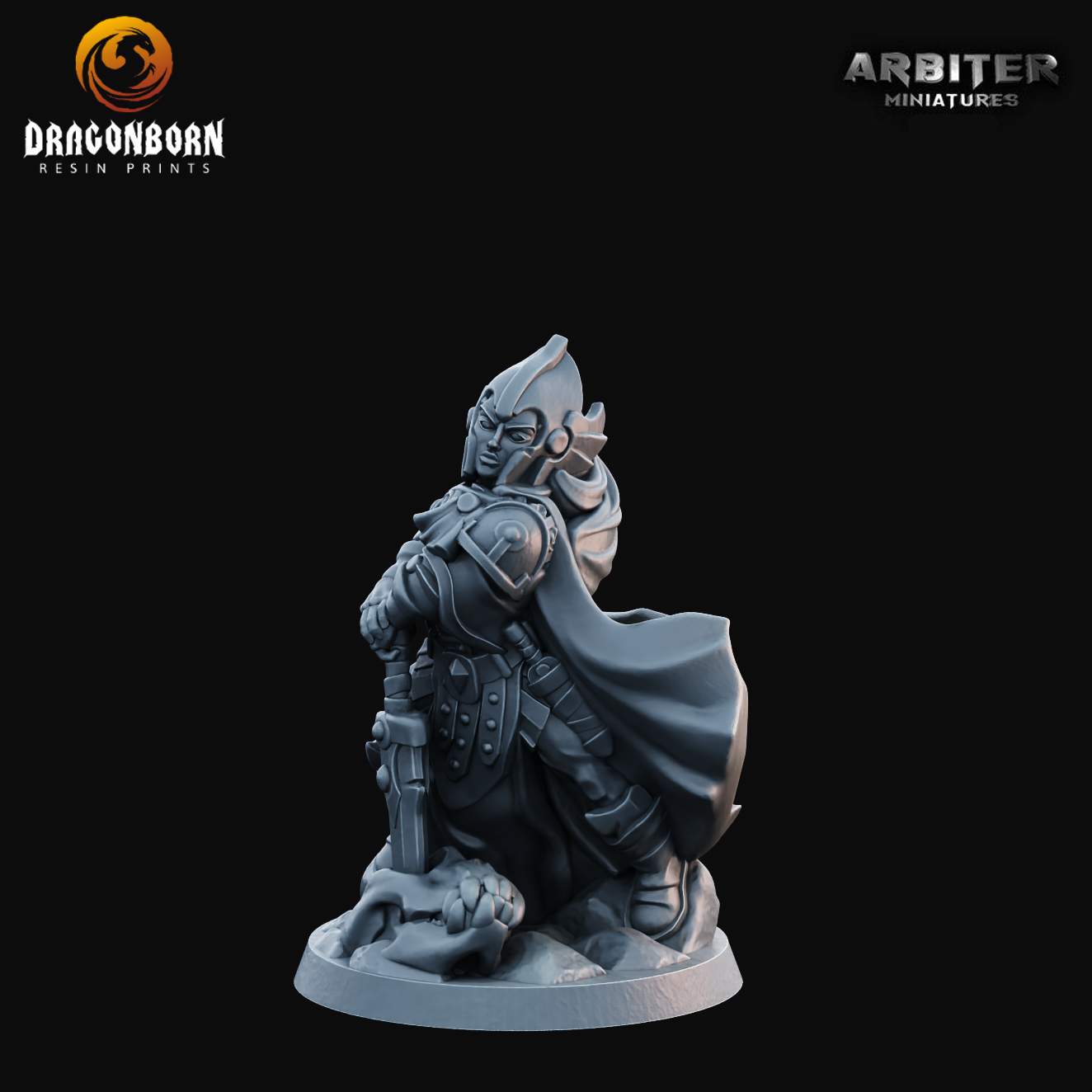 Paladin Female 2 - DnD RPG Wargaming Miniatures 
