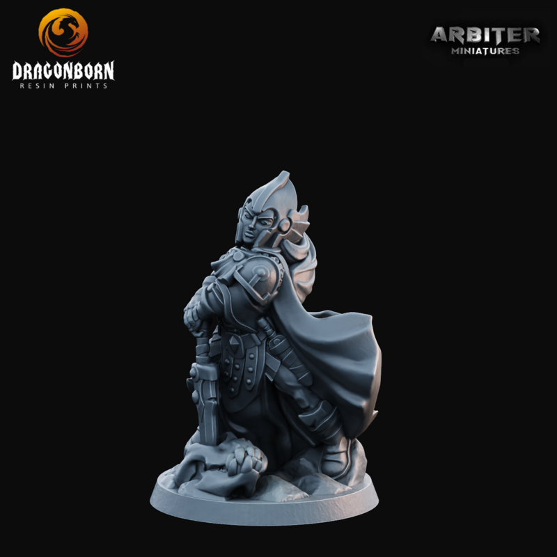 Paladin Female 2 - DnD RPG Wargaming Miniatures 